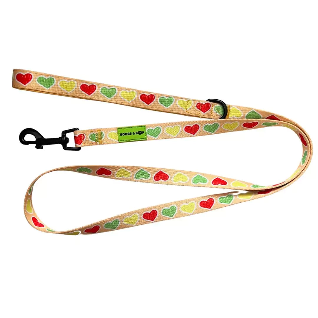 Shop Hot Dog Lover Fabric Dog Leash by Boogs & Boop.