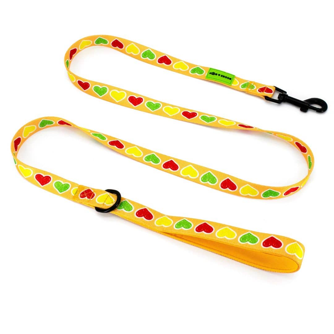 Shop Hot Dog Lover Dog Leash with Hearts by Boogs & Boop.