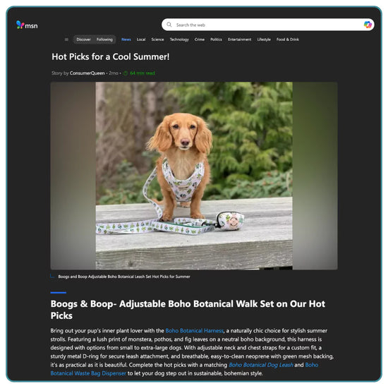 Boogs & Boop's Adjustable Boho Botanical Dog-Walking Set Featured on MSN's Hot Picks for a Cool Summer Blog Article by ConsumerQueen