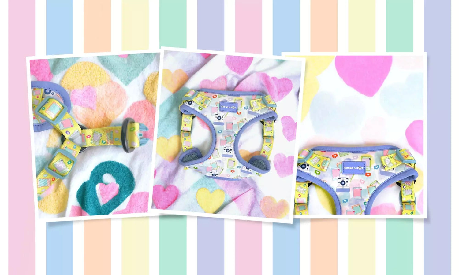 Pawlaroid Pupfluencer Print Dog Accessories Collection Early Access Sign Ups