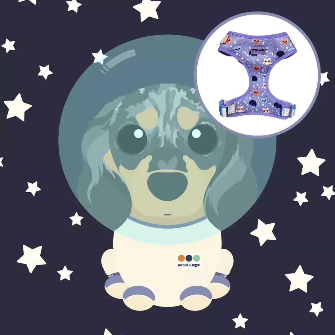 Shop Astro-Mutts Custom Pet Portrait + Adjustable Dog Harness Bundle by Boogs & Boop x Doodling with Fibie.