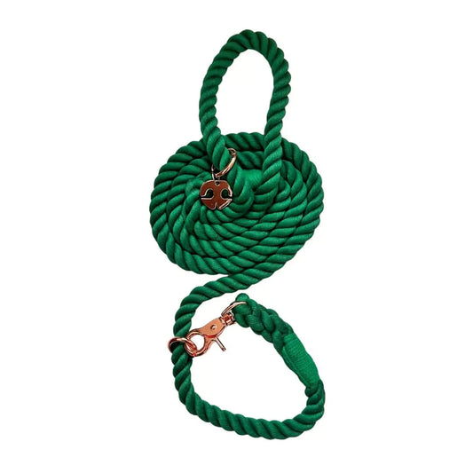 Shop Rope Dog Leash Collar Combo - Ivy Green by Boogs & Boop.