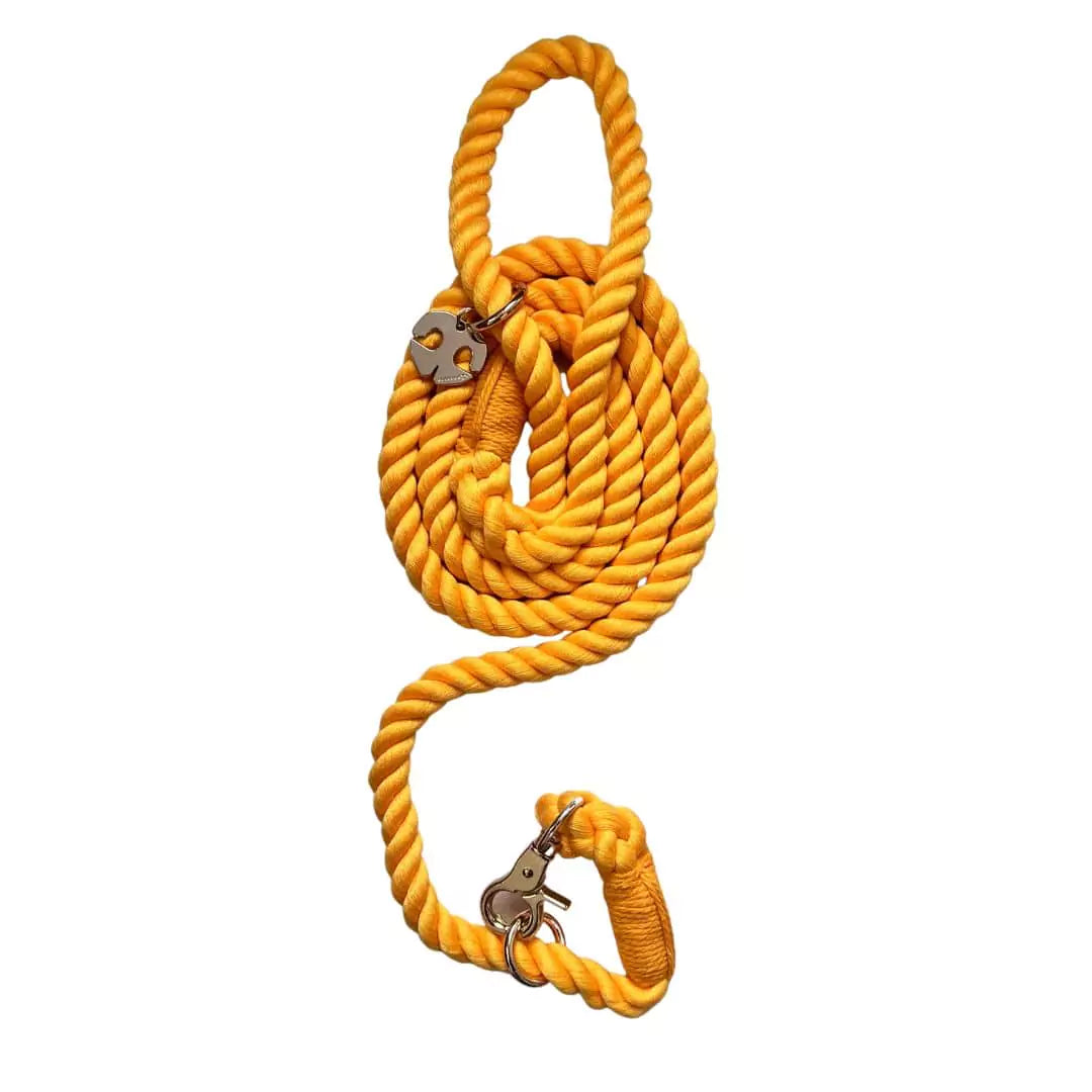 Shop Rope Dog Leash Collar Combo - Mustard Yellow by Boogs & Boop.