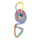 Shop Rope Dog Leash Collar Combo - Pastel Rainbow by Boogs & Boop.