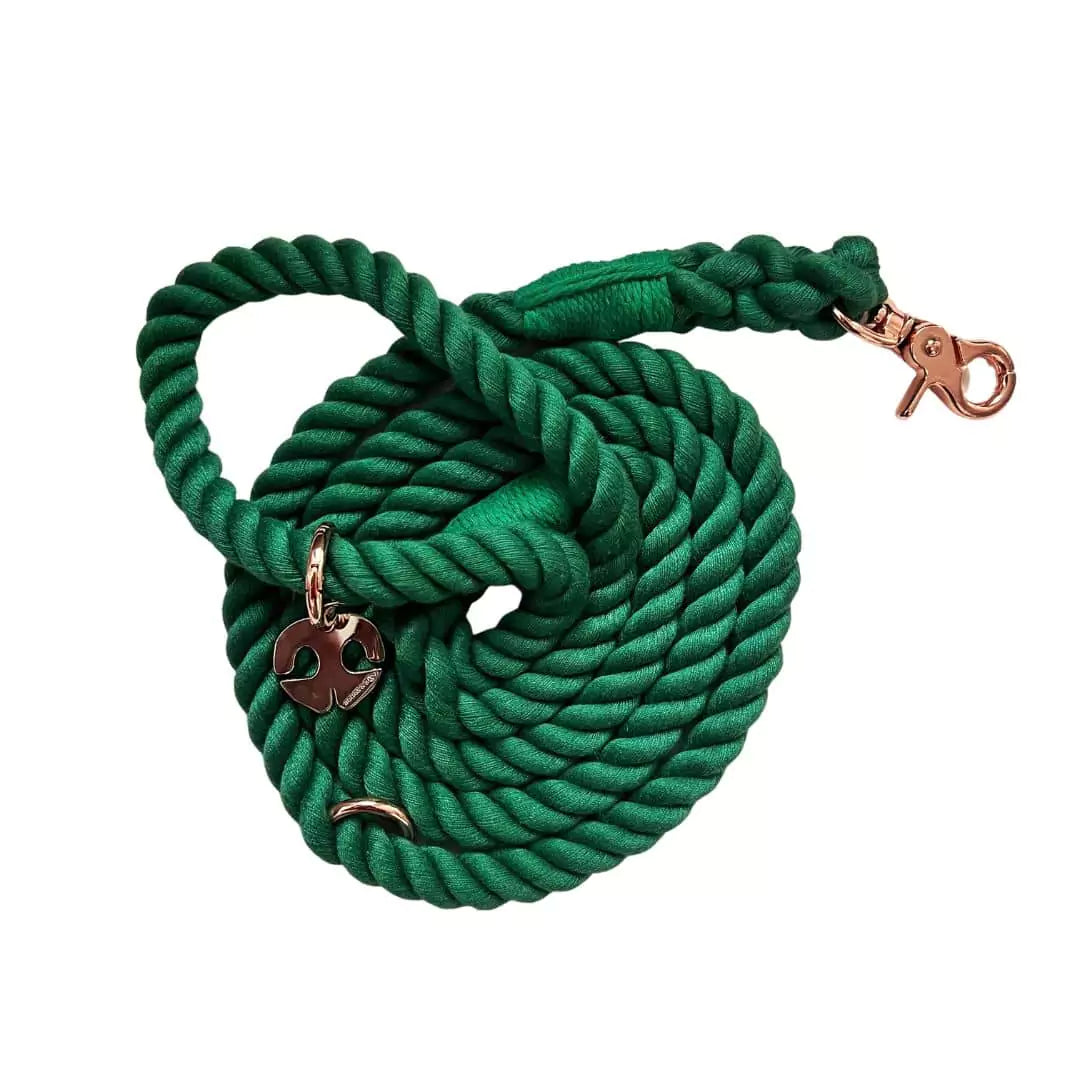 Shop Rope Dog Leash - Ivy Green by Boogs & Boop.