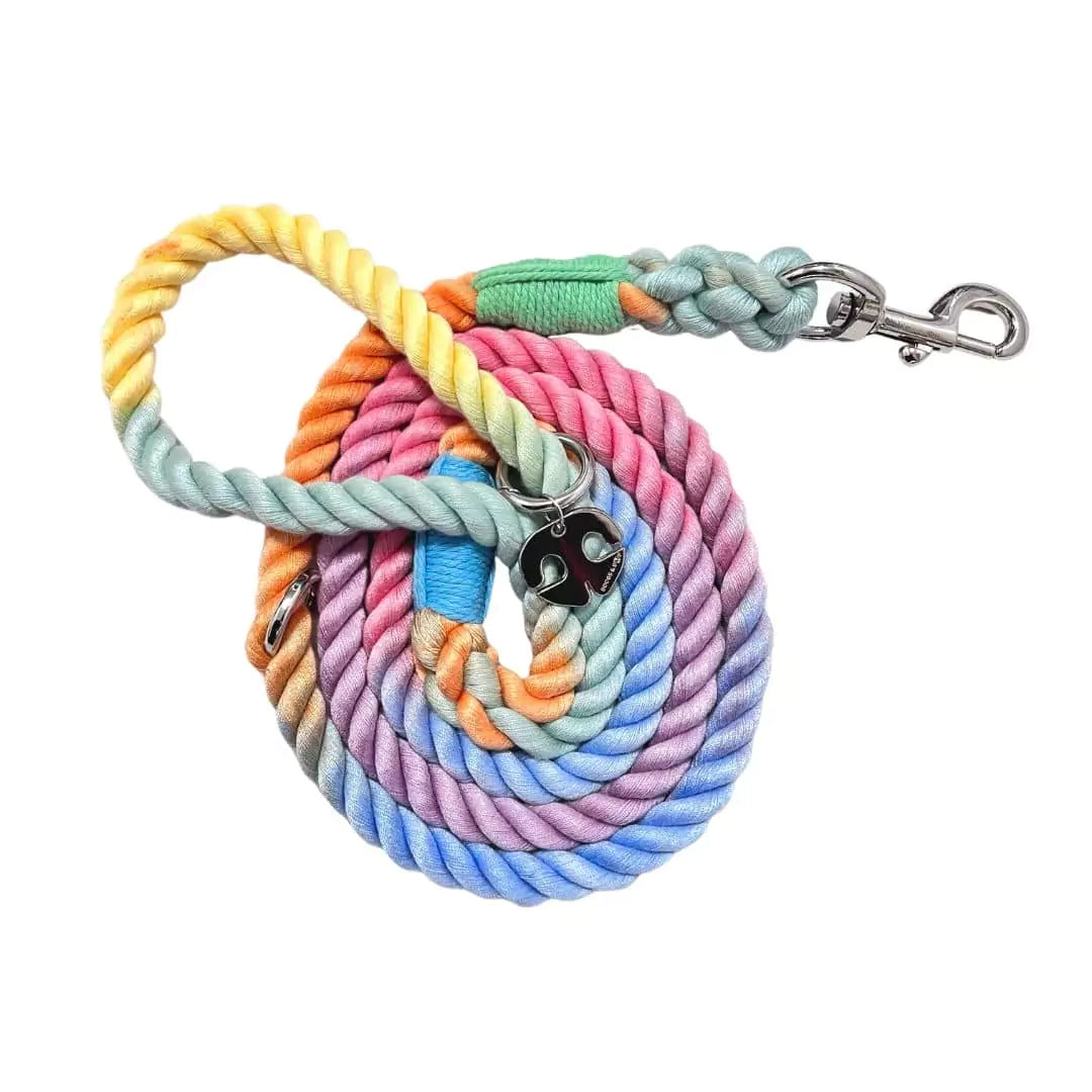 Shop Rope Dog Leash - Pastel Rainbow by Boogs & Boop.