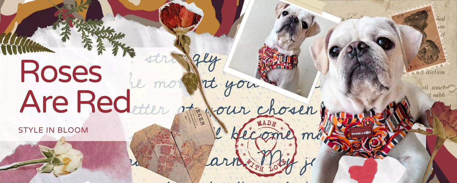 Shop New Rose Are Red Collection and Step-In Dog Harness by Boogs & Boop.