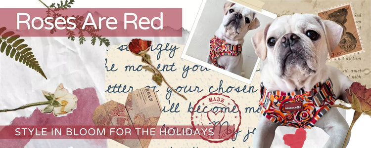 Shop New Rose Are Red Collection and Step-In Dog Harness by Boogs & Boop.
