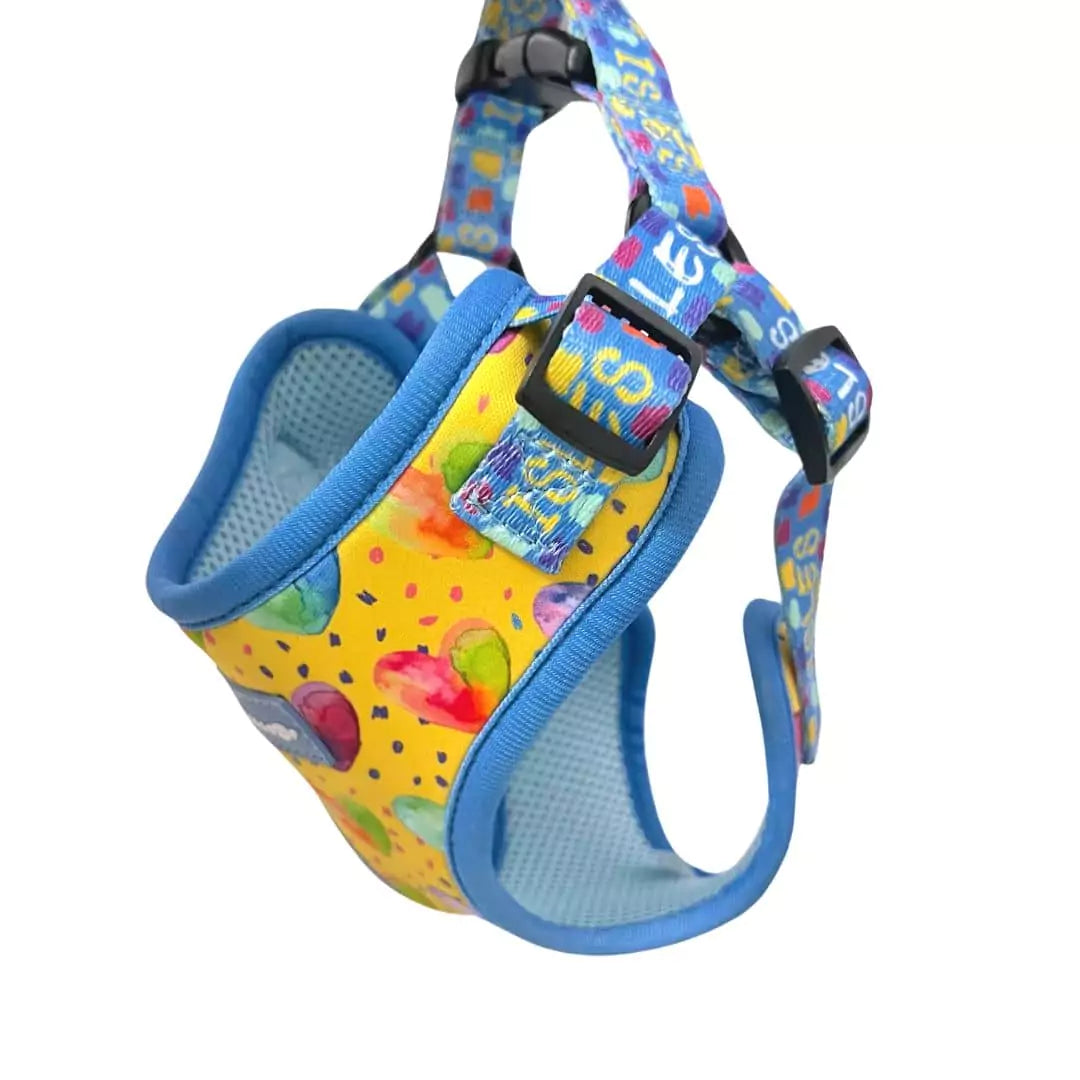 Shop Personalized Rainbow Step-in I Heart You Dog Harness by Boogs & Boop.