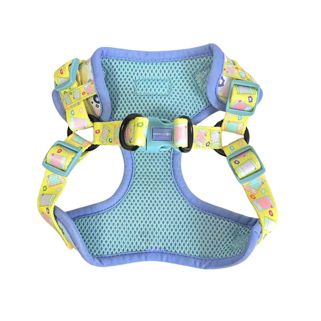Shop Step-In Pawlaroid Pupfluencer Dog Harness by Boogs & Boop.