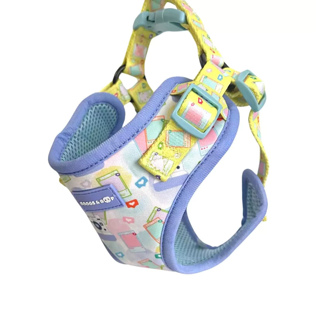 Shop Step-In Pastel Pawlaroid Pupfluencer Print Dog Harness by Boogs & Boop.