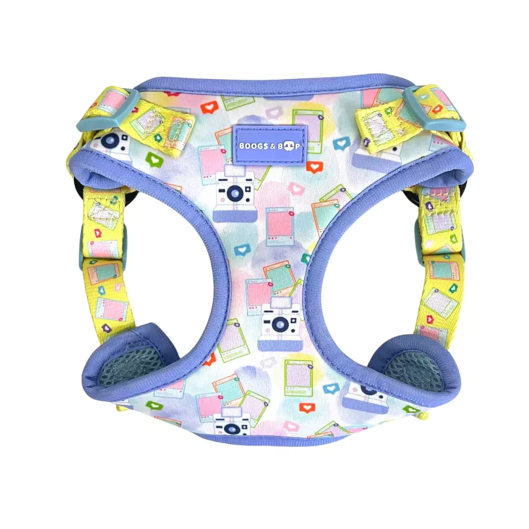 Shop Step-In Pawlaroid Pupfluencer Print Dog Harness by Boogs & Boop.