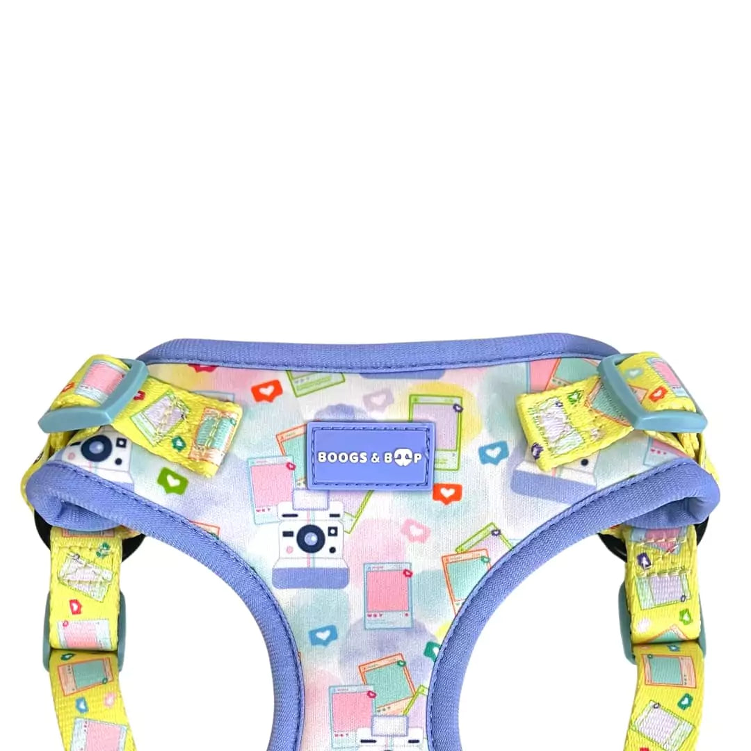 Shop Step-In Pawlaroid Pupfluencer Instagram Print Dog Harness by Boogs & Boop.