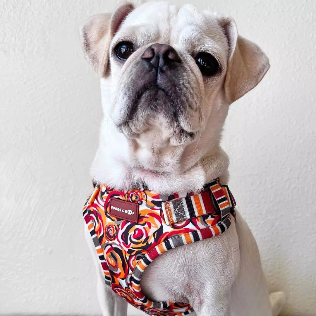Skythepug21 Wearing Step-In Roses Are Red Print Dog Harness by Boogs & Boop.