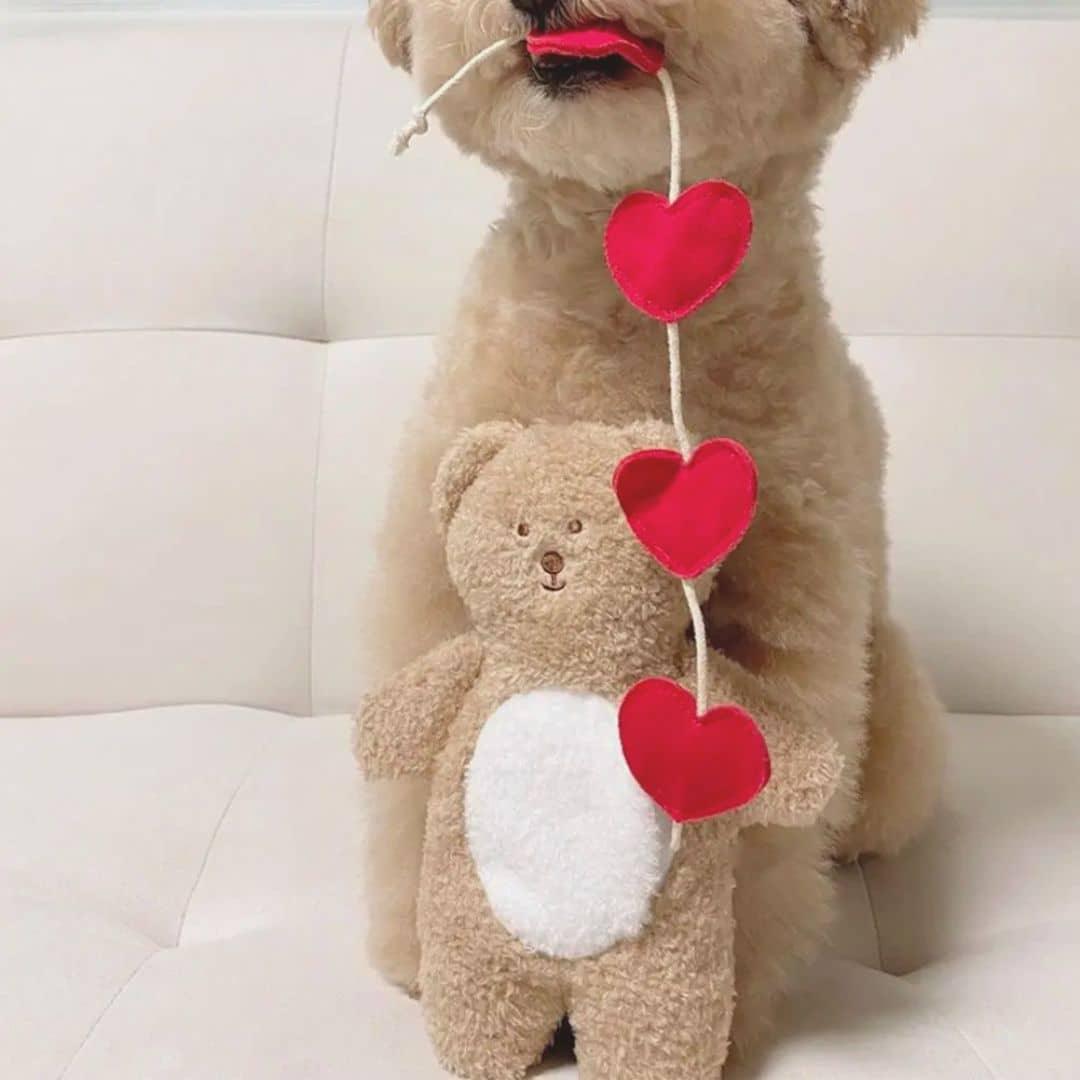 Shop Teddy Bear Heart Nosework Toy for Dog Playtime by Boogs & Boop.