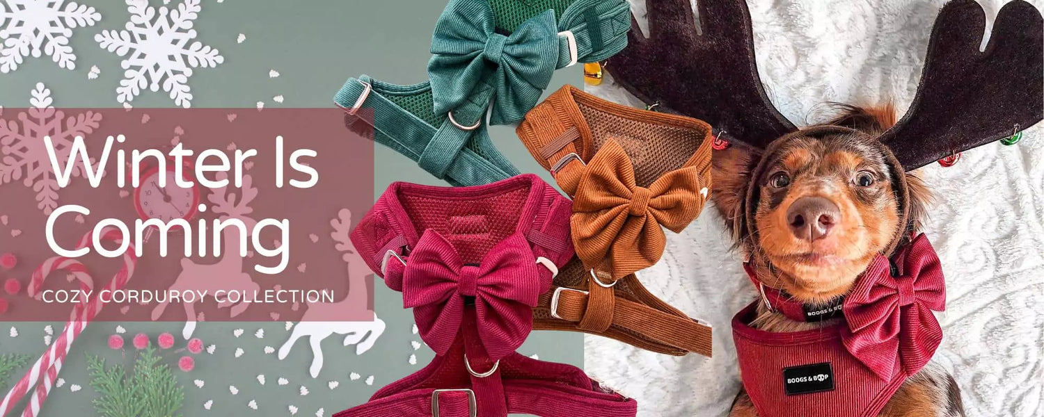 Shop Winter Cozy Corduroy Dog Accessories Collection by Boogs & Boop.