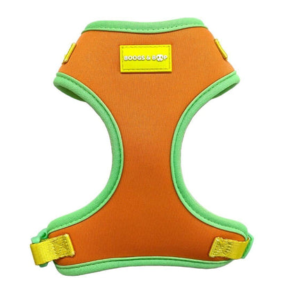 Shop Adjustable Summer Color Block Dog Harness - Sherbet Orange by Boogs & Boop.