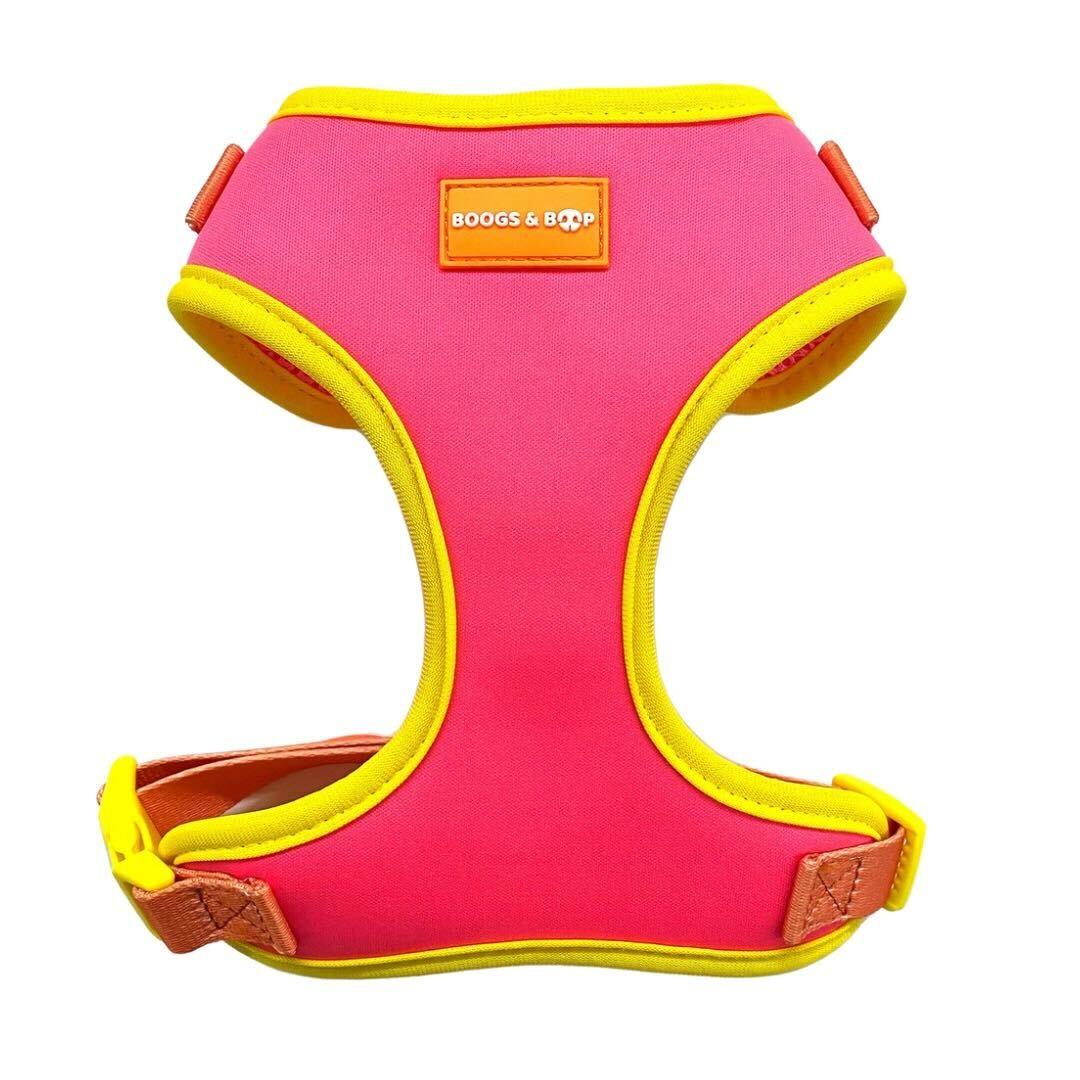 Shop Adjustable Summer Color Block Dog Harness - Tropical Punch Pink by Boogs & Boop.
