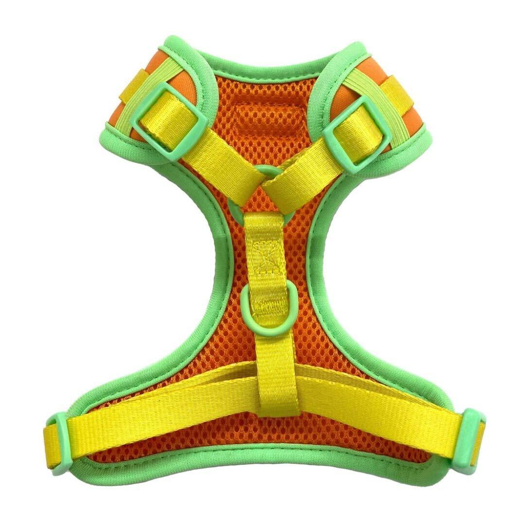 Shop Adjustable Summer Color Block Harness - Sherbet Orange by Boogs & Boop.