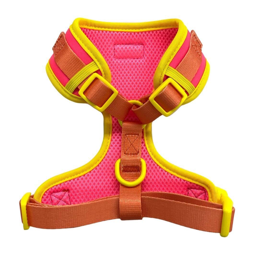 Shop Adjustable Summer Color Block Harness - Tropical Punch Pink by Boogs & Boop.