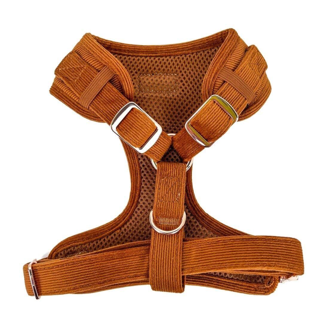Shop Cozy, Durable, and Adjustable Corduroy Dog Harness Rust by Boogs & Boop
