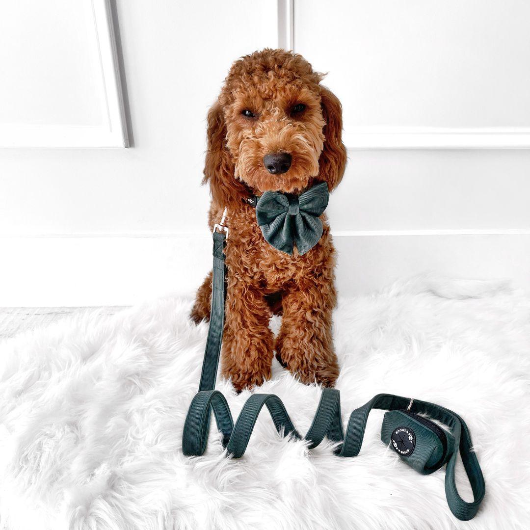 Goldendoodle Wearing Corduroy Collection - Moss