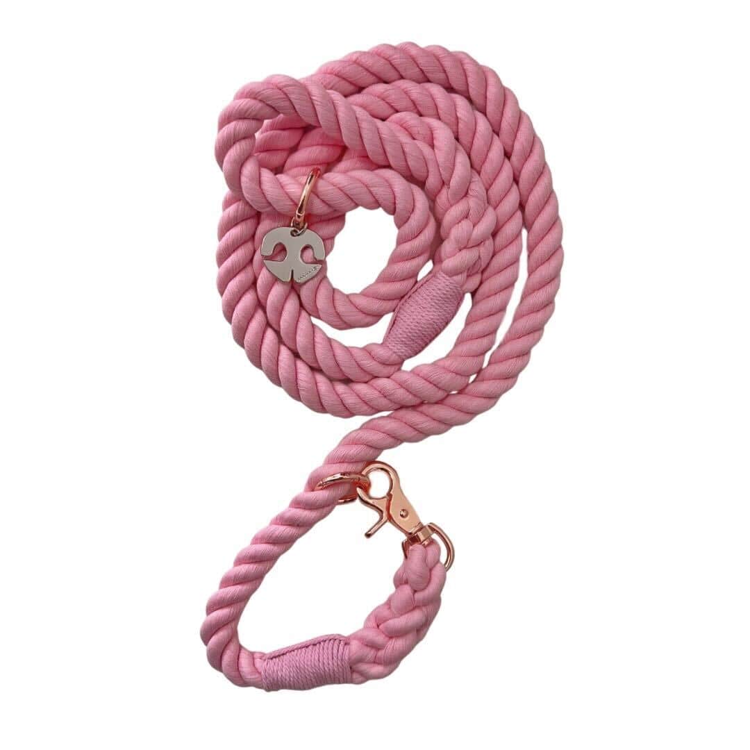 Shop Rope Leash with Collar - Bubblegum Pink by Boogs & Boop.