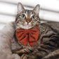 Cat Wearing Boogs & Boop Corduroy Sailor Bow Tie - Rust