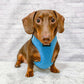 Sausage Dog Wearing Boogs & Boop Teddy Harness - Electric Blue